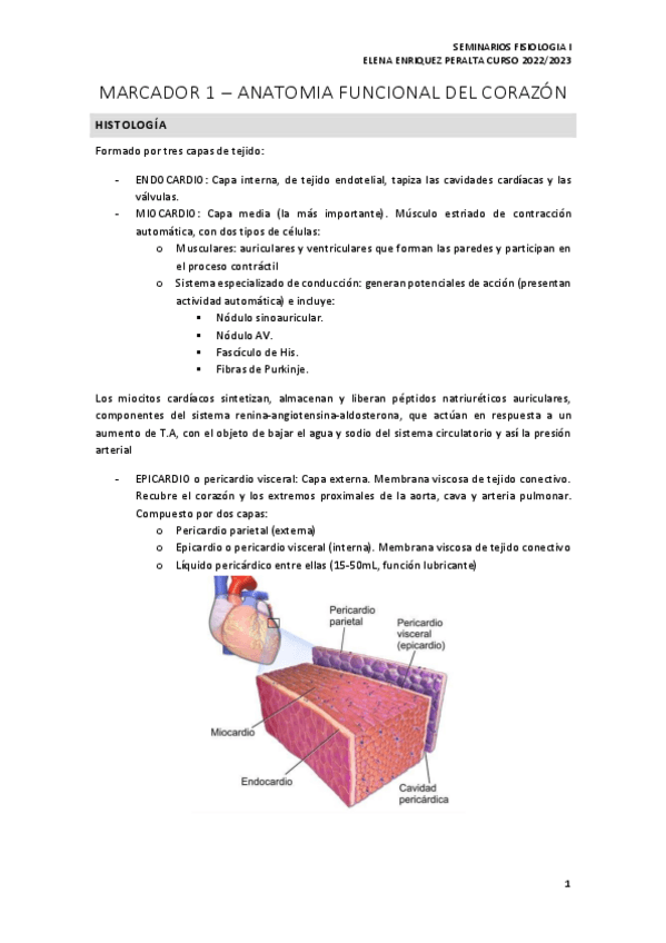 Miniatura del documento SEMINARIOS-FISIOLOXIA-PRIMER-CUATRI.pdf