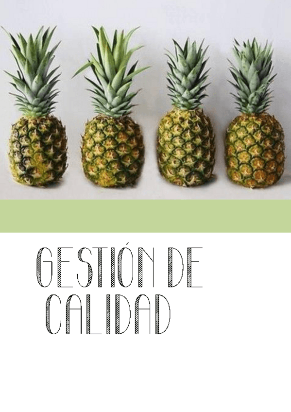 Miniatura del documento Apuntes de calidad.pdf