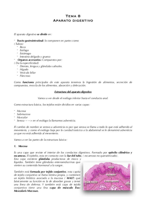 Miniatura del documento Tema-8-Aparato-digestivo.pdf