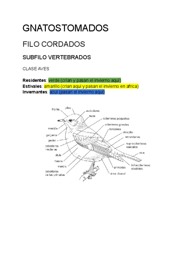 Miniatura del documento Zoologia-identeficacion-Aves-.pdf