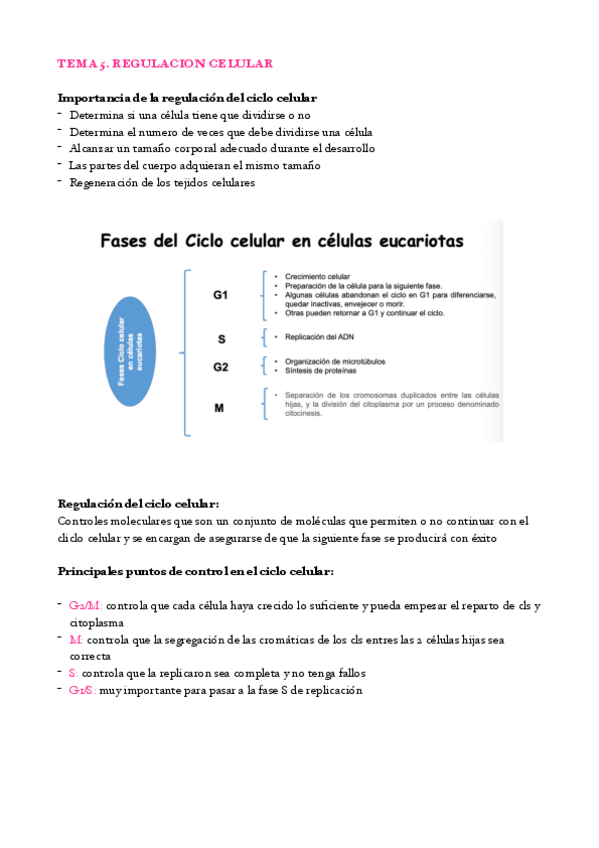 Miniatura del documento tema-5-pdf.pdf