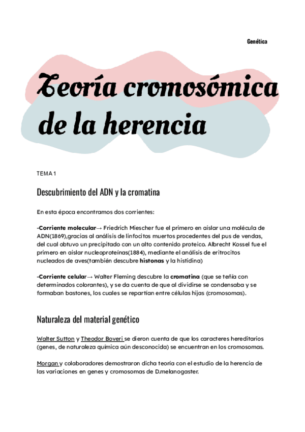 Miniatura del documento TEMA-1.pdf