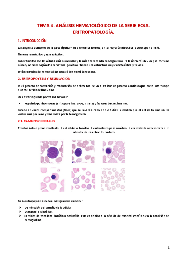 Miniatura del documento T4-Analisis-hematologico-de-la-serie-roja.pdf