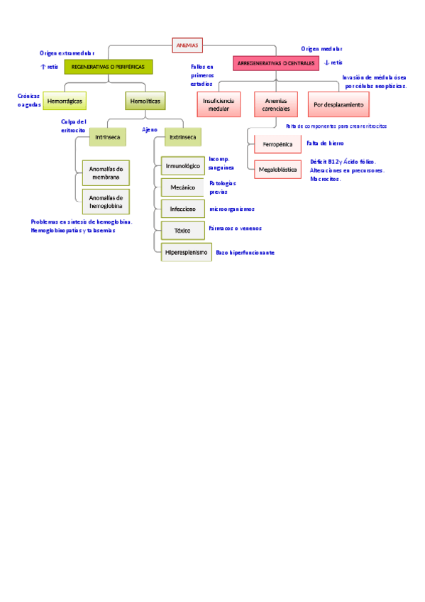 Miniatura del documento Esquema-anemias-con-datos.pdf