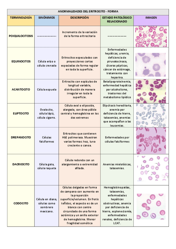 Miniatura del documento ANORMALIDADES-DEL-ERITROCITO.pdf