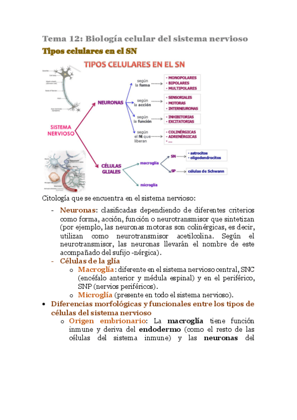 Miniatura del documento PSICOBIOLOGIA-TEMAS-12-13-14.pdf