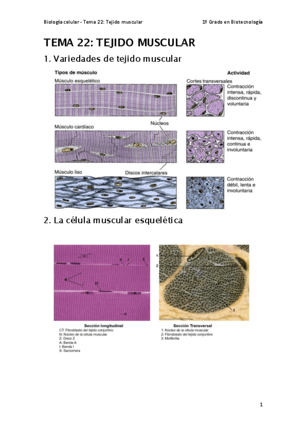 Miniatura del documento Tema-22.pdf