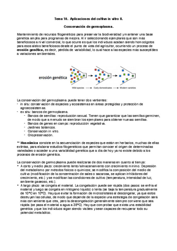 Miniatura del documento cult_10.pdf