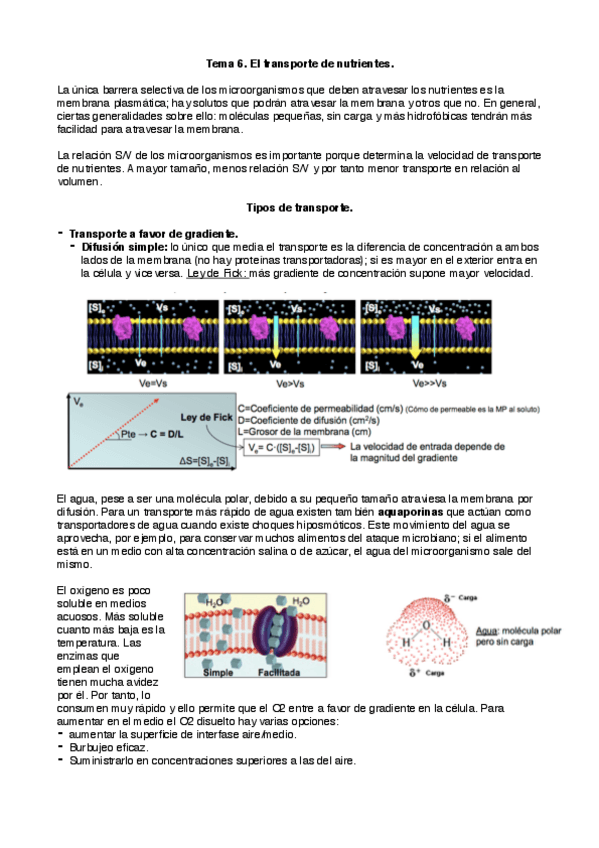 Miniatura del documento Biotec_mic6.pdf