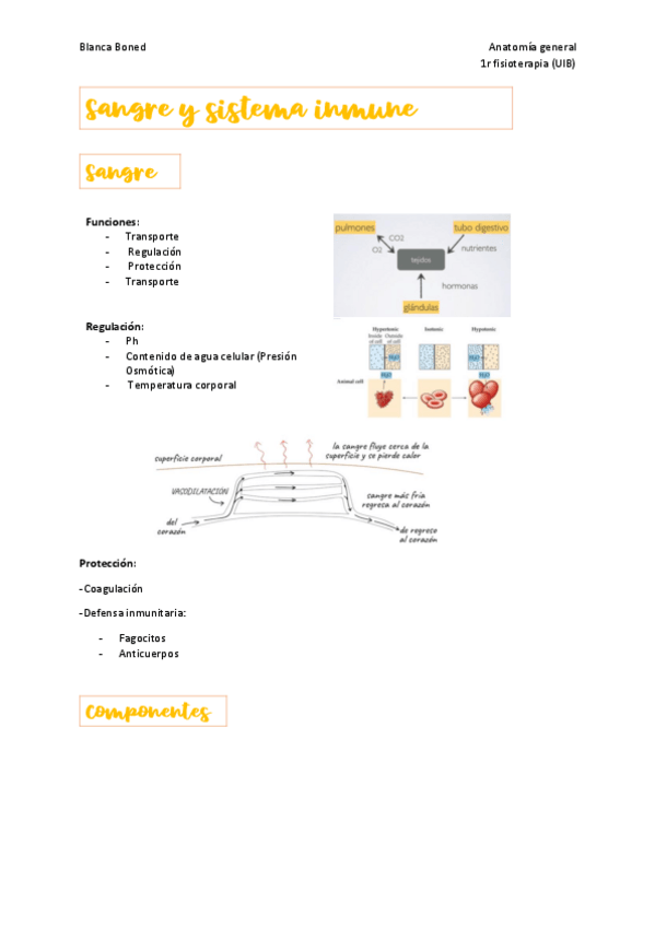 Miniatura del documento Sangre-y-sistema-inmune-tema-7.pdf