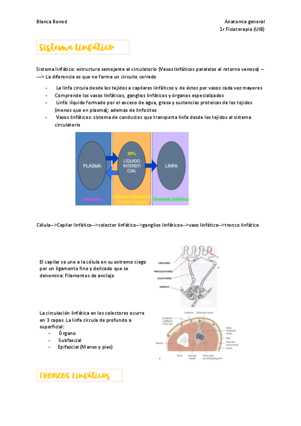 Miniatura del documento Sistema-linfatico.pdf