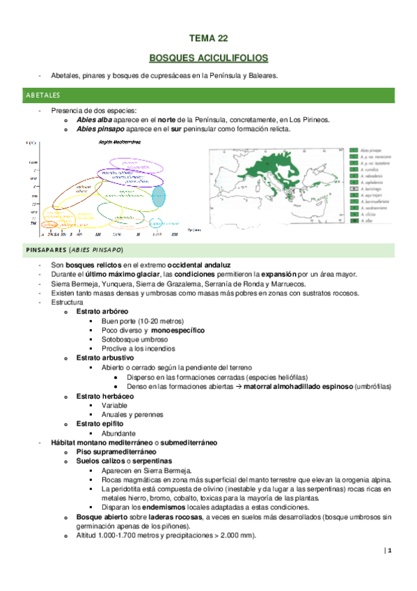 Miniatura del documento TEMA-22.pdf