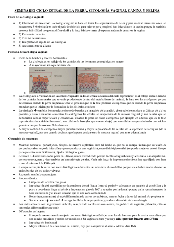 Miniatura del documento SEMINARIO-CITOLOGIA-VAGINAL-REPRO.pdf