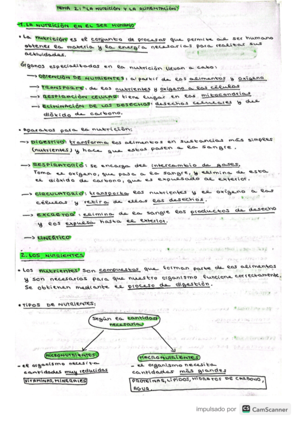 Miniatura del documento Nutricion-y-Alimentacion.pdf