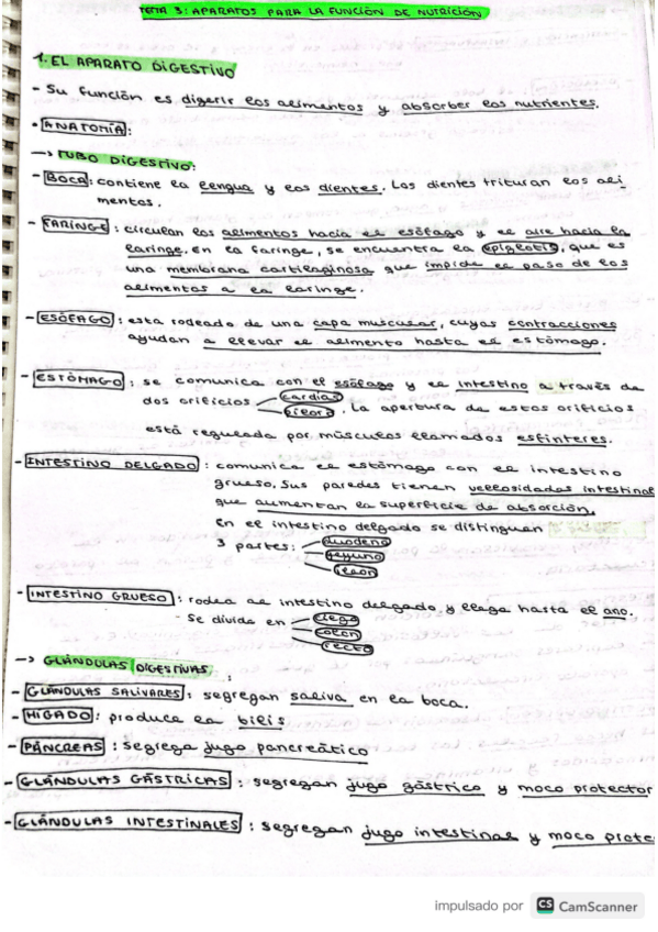 Miniatura del documento Aparato-digestivo.pdf