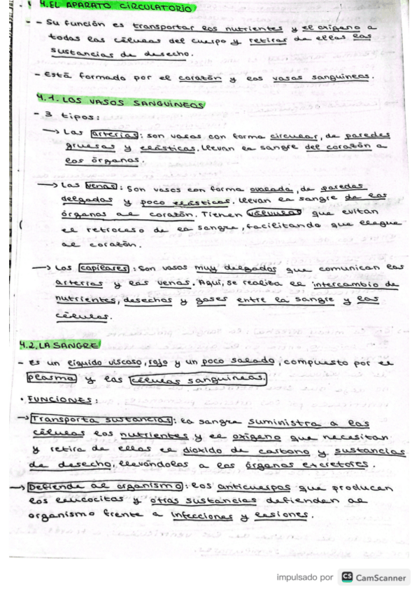 Miniatura del documento Aparato-circulatorio.pdf