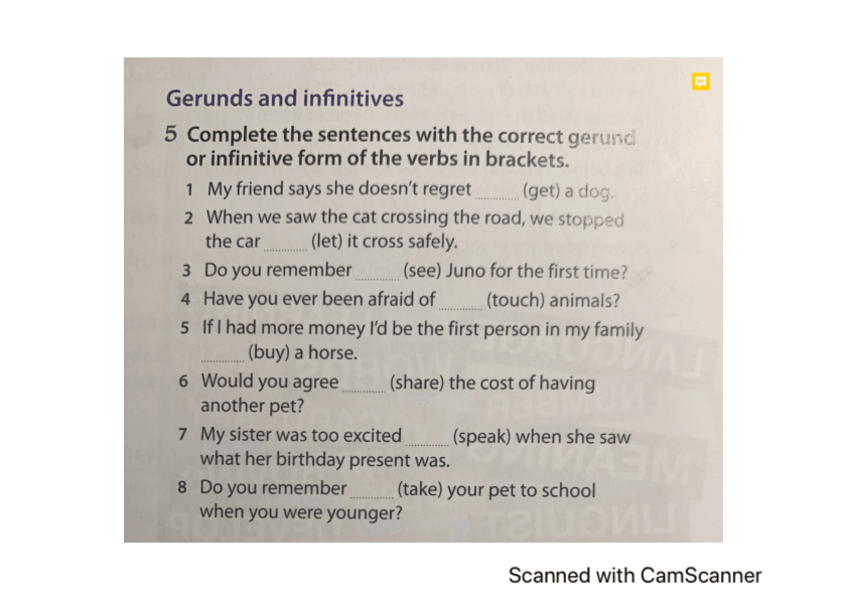 Miniatura del documento gerunds-and-infinitives.pdf