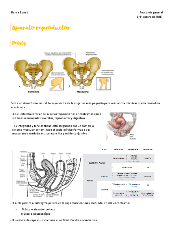 Miniatura del documento aparato-reproductor-tema-10.pdf