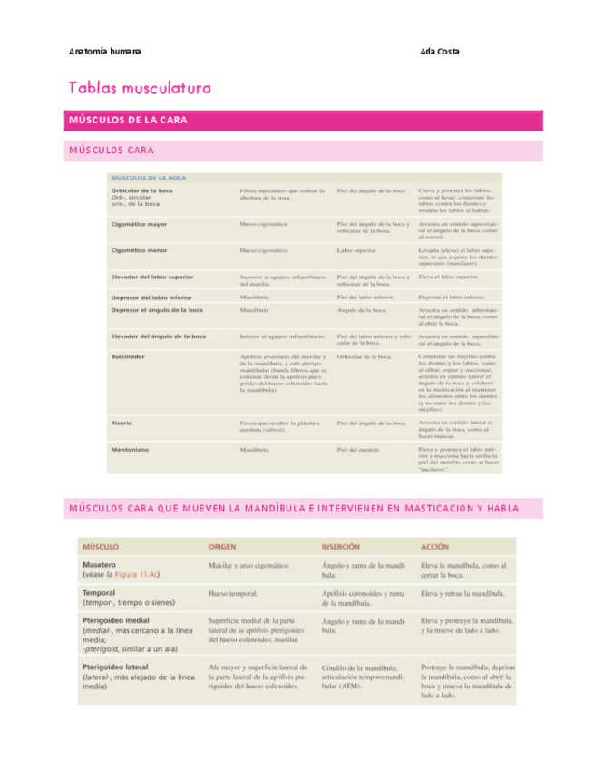 Miniatura del documento Tablas-musculatura.pdf