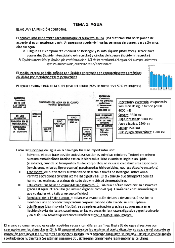 Miniatura del documento TEMA-1-resumen.pdf