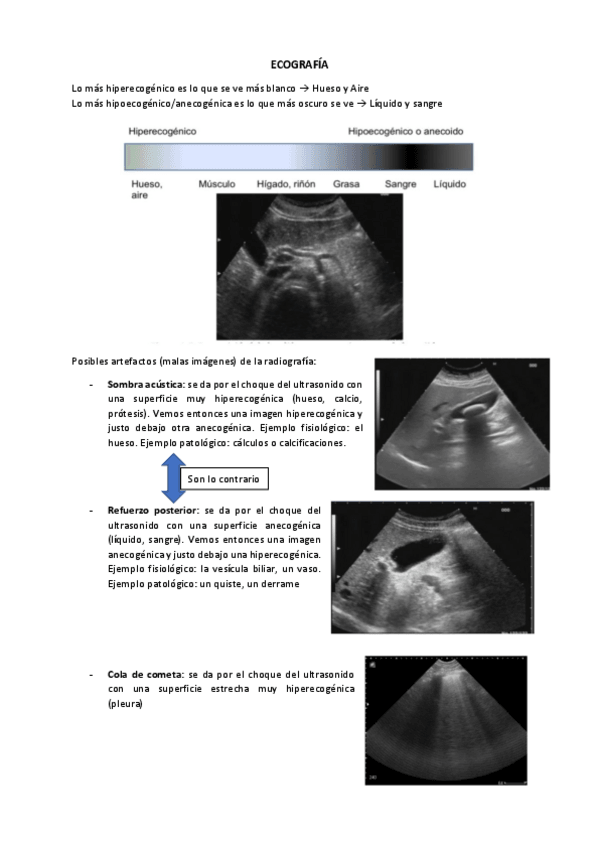 Miniatura del documento ecografia.pdf