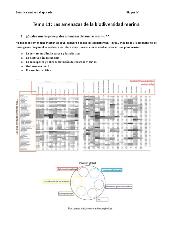 Miniatura del documento Tema-11.pdf