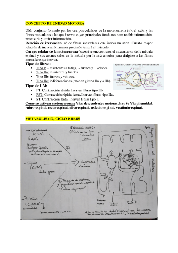 Miniatura del documento ELIMINATORIAS-2o-PARCIAL-CORREGIDAS.pdf