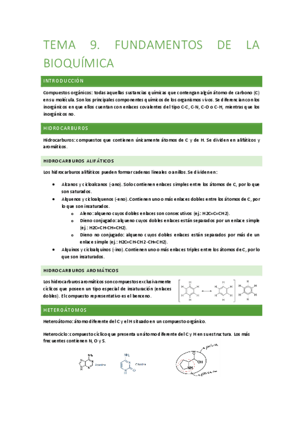 Miniatura del documento Tema-9.-Fundamentos-de-la-bioquimica.pdf