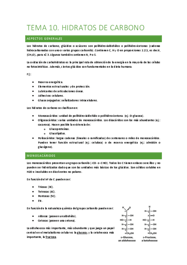 Miniatura del documento Tema-10.-Hidratos-de-carbono.pdf