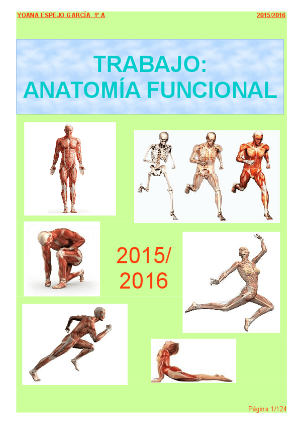 Miniatura del documento TRABAJO-ANATOMIA-FUNCIONAL.pdf