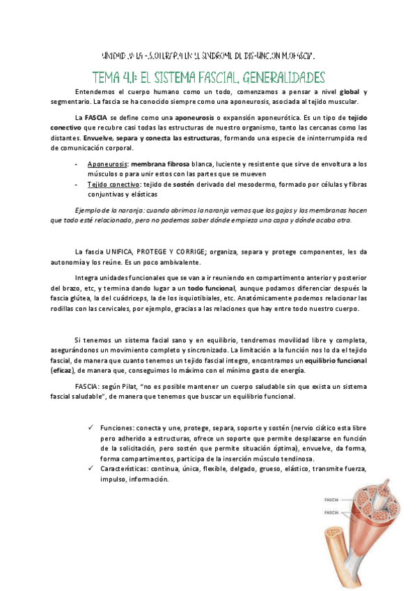 Miniatura del documento Tema-1-U4-Masot.pdf