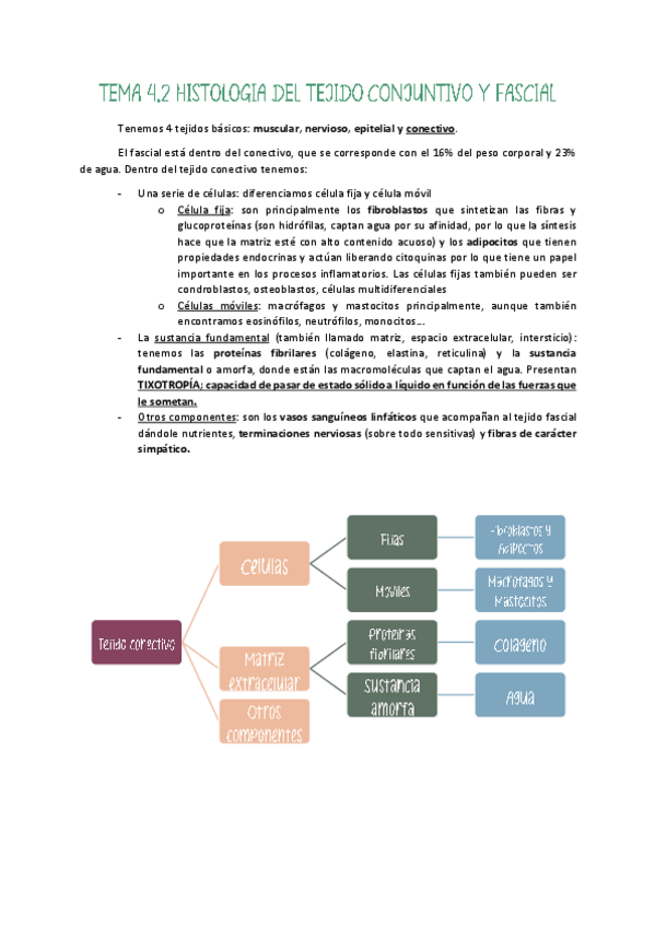 Miniatura del documento Tema-2-U4-Masot.pdf