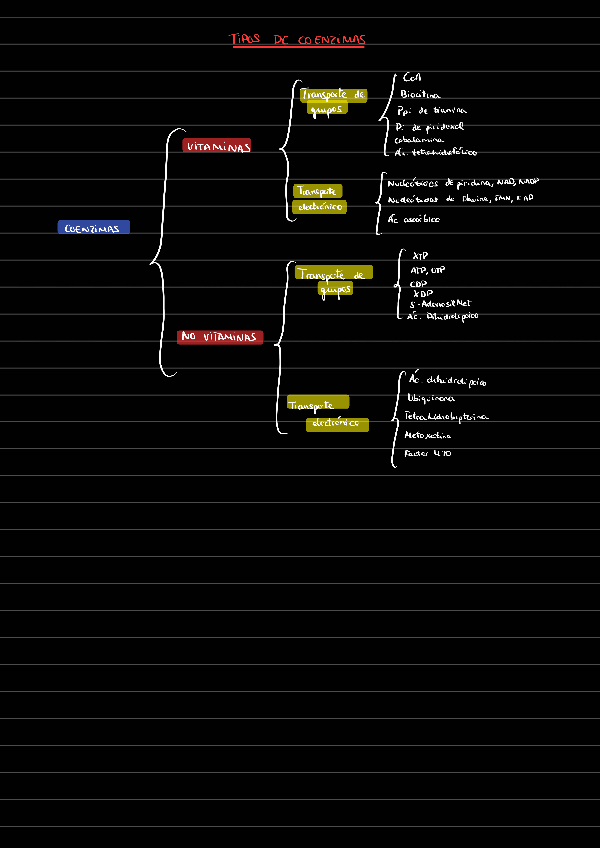 Miniatura del documento Tipos-de-coenzimas-221210185443.pdf