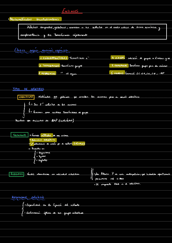 Miniatura del documento Enzimas221210115717.pdf