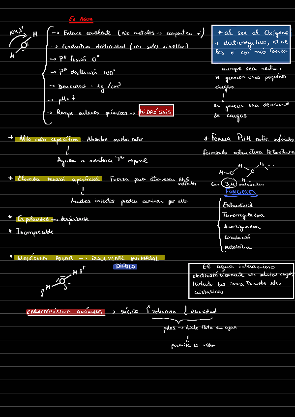 Miniatura del documento El-agua.pdf