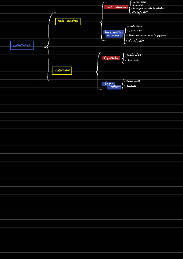 Miniatura del documento Cofactores221210112318.pdf