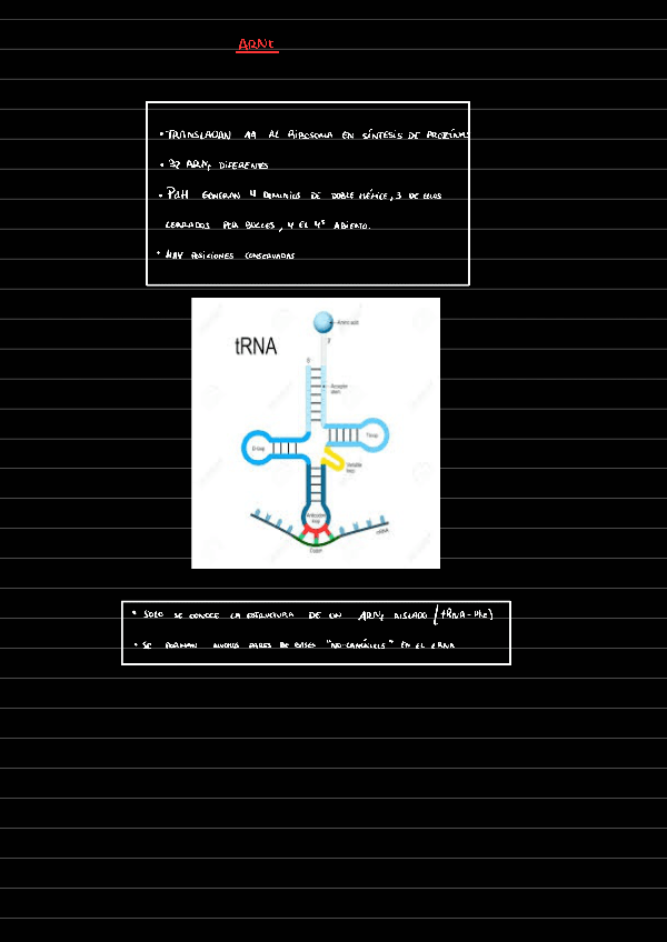 Miniatura del documento ARNt221210172303.pdf