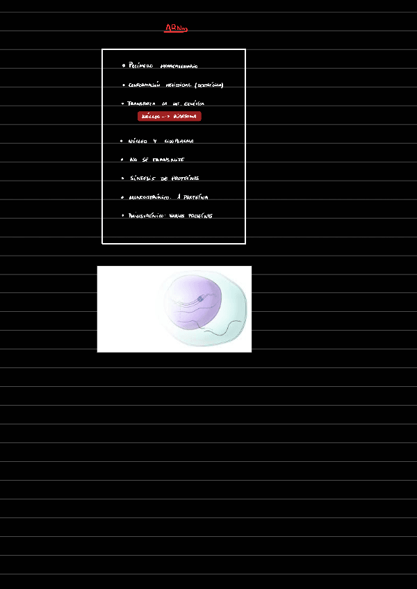 Miniatura del documento ARNm221210171513.pdf