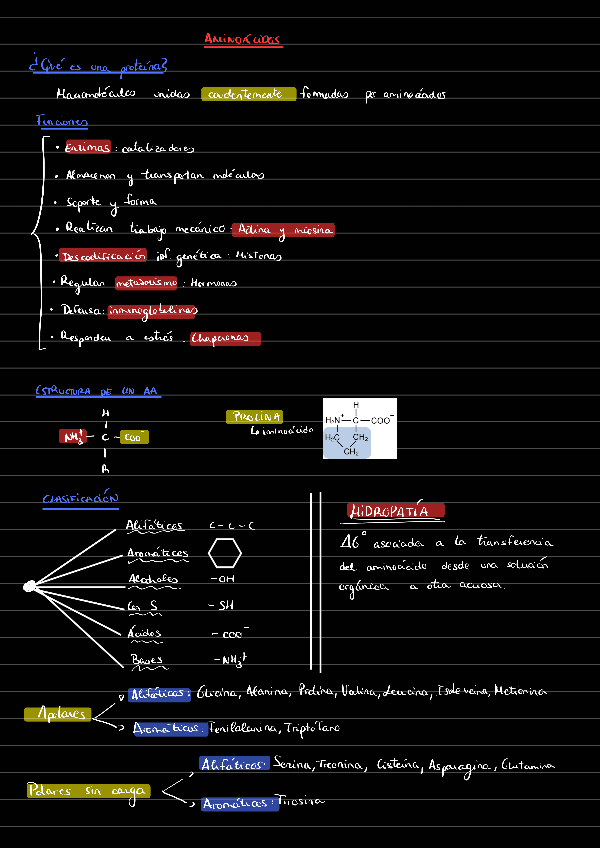 Miniatura del documento Aminoacidos-.pdf