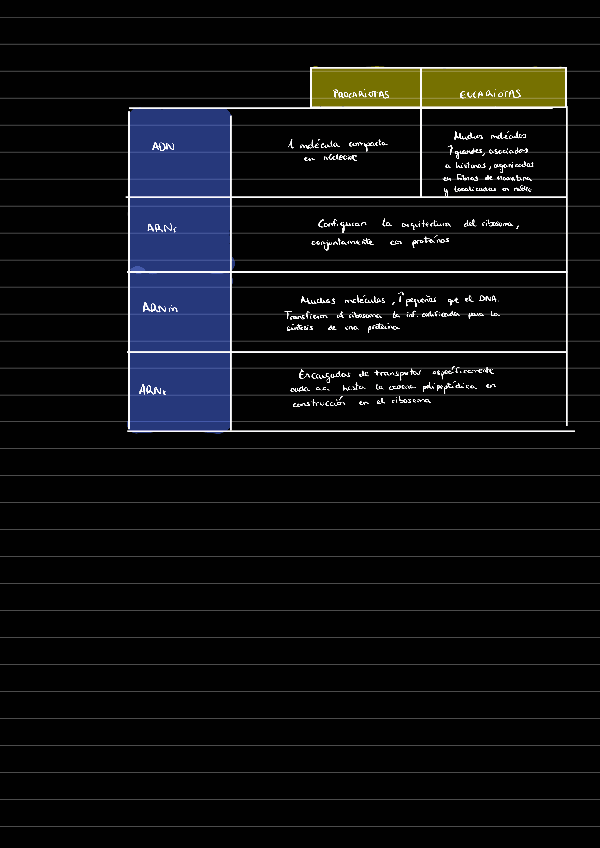 Miniatura del documento Ac-nucleicos-esquema221210193758.pdf