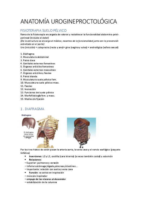 Miniatura del documento 1.pdf