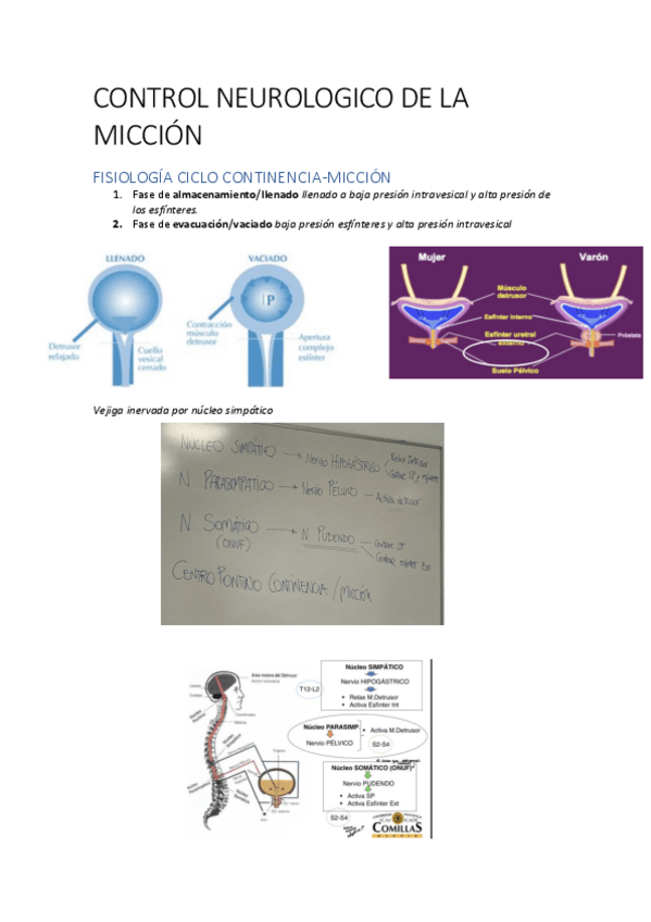 Miniatura del documento 2.pdf