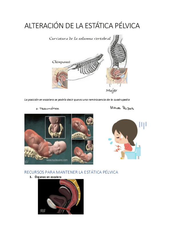 Miniatura del documento 3.pdf