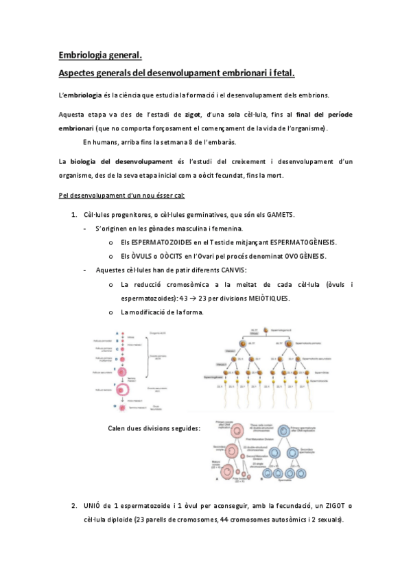 Miniatura del documento 1-Embriologia.pdf