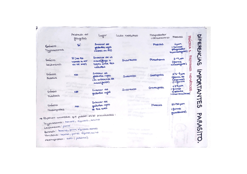 Miniatura del documento PRACTICO-PARASITOLOGIA.pdf