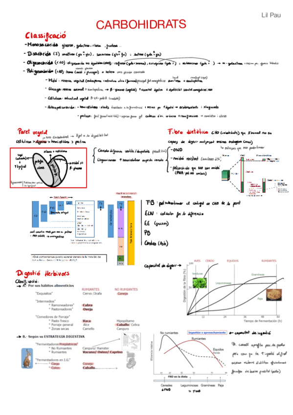 Miniatura del documento Nutricio-LilPau.pdf