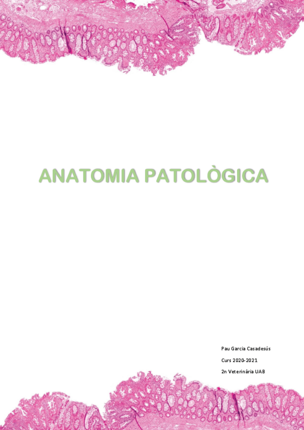 Miniatura del documento Anatomia-patologica.pdf