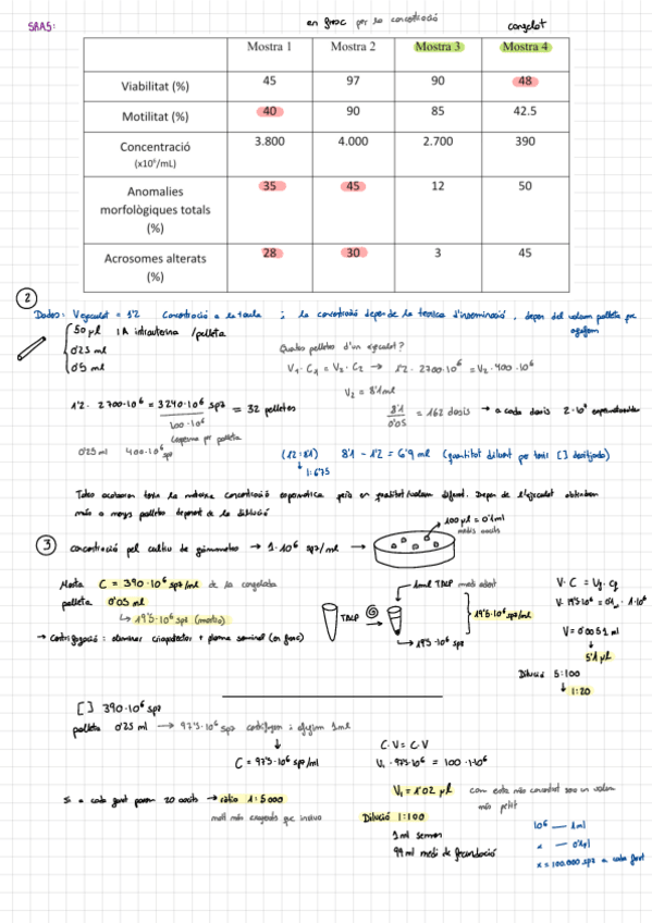 Miniatura del documento LilpauPractiques-2n-Parcial.pdf