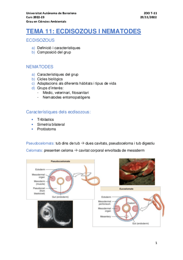 Miniatura del documento TEMA-11.pdf