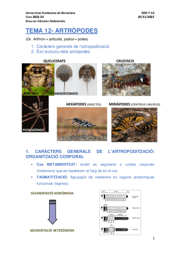 Miniatura del documento TEMA-12.pdf